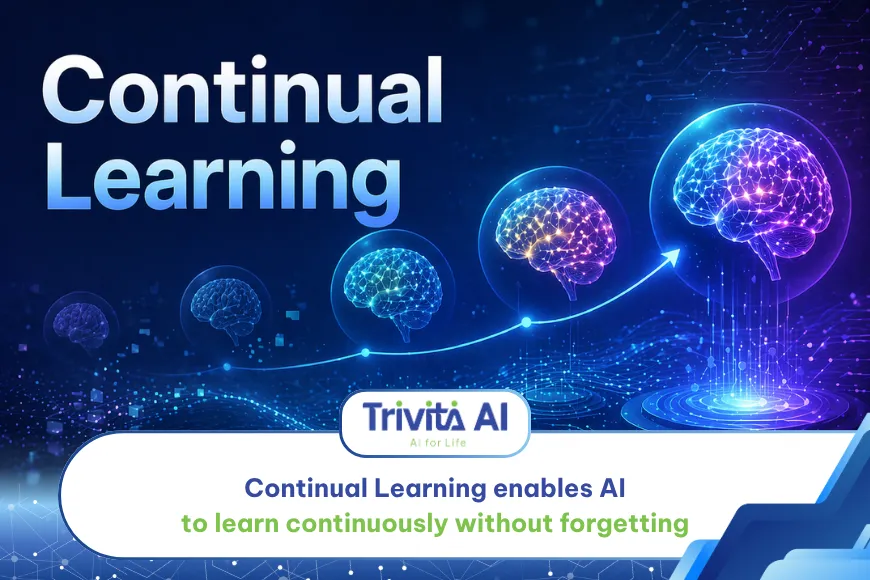 Continual Learning-thumb