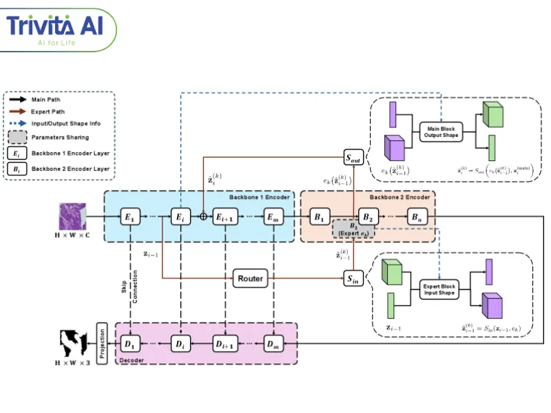 Trivita AI - CVPR 2026 (2)